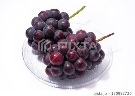 ピオーネ ピオーネ 120982720