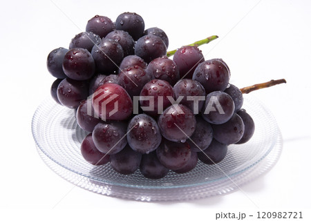 ピオーネ 120982721