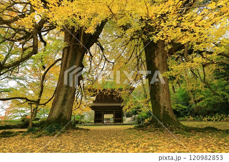 東京都あきる野市 広徳寺 120982853