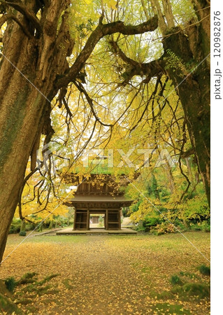 東京都あきる野市 広徳寺 東京都あきる野市 広徳寺 120982876