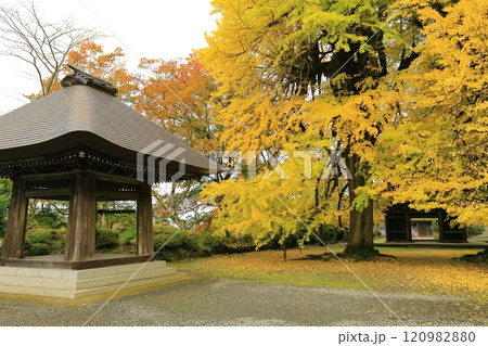 東京都あきる野市 広徳寺 東京都あきる野市 広徳寺 120982880