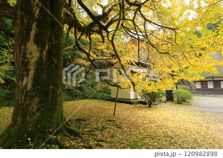 東京都あきる野市 広徳寺 東京都あきる野市 広徳寺 120982898