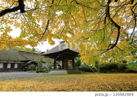 東京都あきる野市 広徳寺 120982909