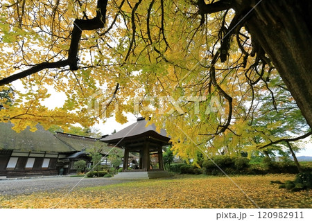 東京都あきる野市 広徳寺 120982911