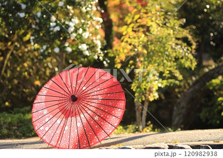 東京都あきる野市 広徳寺 120982938