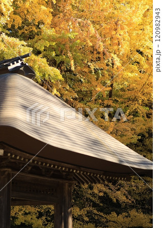 東京都あきる野市 広徳寺 東京都あきる野市 広徳寺 120982943