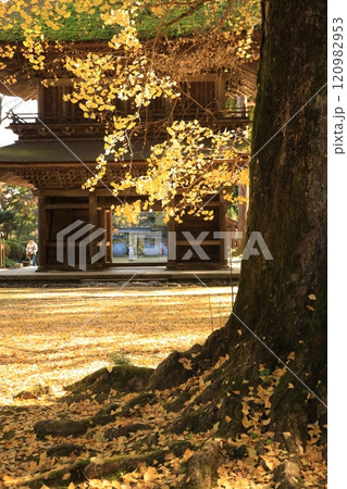 東京都あきる野市 広徳寺 120982953