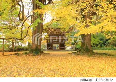 東京都あきる野市　広徳寺 120983012
