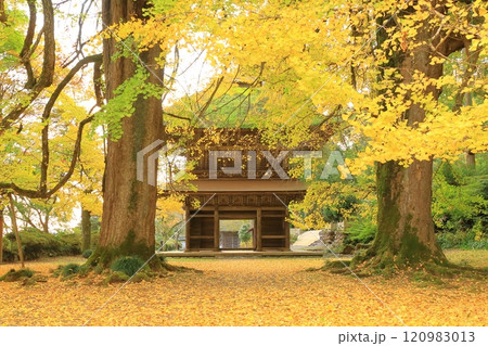 東京都あきる野市　広徳寺 120983013