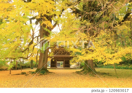 東京都あきる野市 広徳寺 東京都あきる野市 広徳寺 120983017
