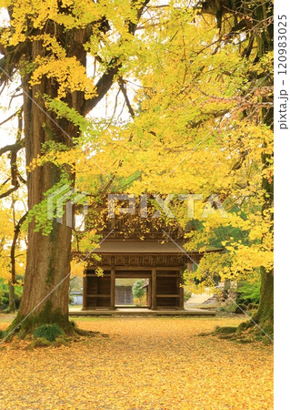 東京都あきる野市 広徳寺 東京都あきる野市 広徳寺 120983025