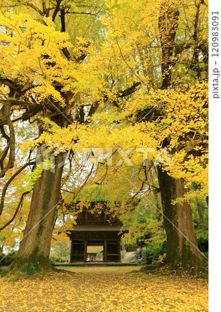 東京都あきる野市 広徳寺 東京都あきる野市 広徳寺 120983091