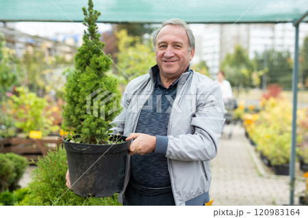 Cheerful elderly man in casual clothes holding pot with Cupressus Goldcrest Wilma during shopping in bazaar 120983164