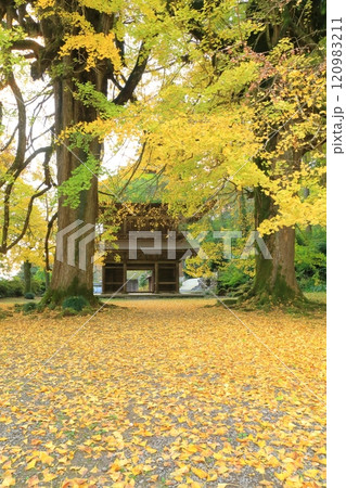 東京都あきる野市 広徳寺 東京都あきる野市 広徳寺 120983211