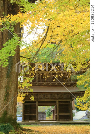 東京都あきる野市　広徳寺 120983214