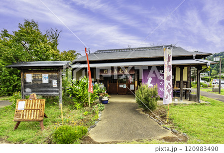 伊豆 蛭ヶ島公園 蛭ケ島茶屋 静岡県伊豆の国市 伊豆 蛭ヶ島公園 蛭ケ島茶屋 静岡県伊豆の国市 120983490