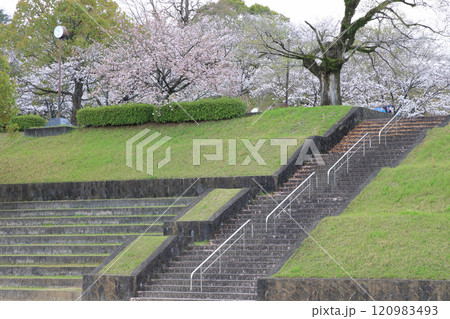 春の公園 120983493