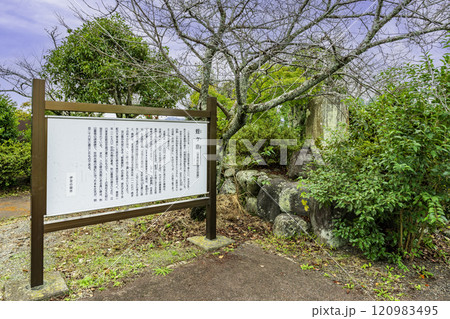 伊豆　蛭ヶ島公園　源頼朝公配流の地　蛭ケ小島　静岡県伊豆の国市 120983495
