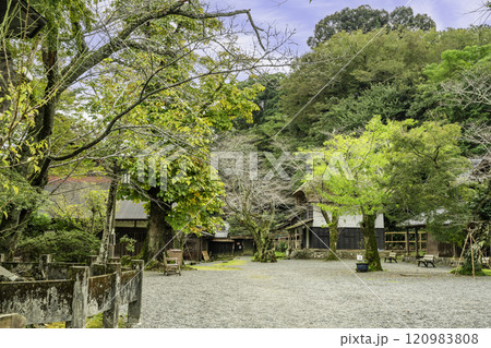 伊豆　江川邸　韮山役所跡　静岡県伊豆の国市 120983808