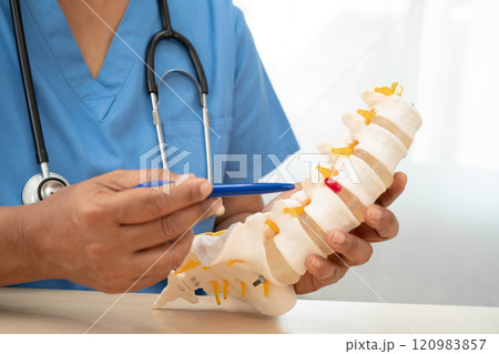 Doctor with lumbar vertebra bone skeleton and nerve model for treatment in the orthopedic department. Doctor with lumbar vertebra bone skeleton and nerve model for treatment in the orthopedic department. 120983857