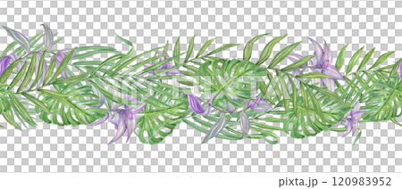 Watercolor tropical green purple leaves horizontal seamless banner. Hand painted tradescantia, palm, and monstera foliage pattern. Floral illustration for textile, holiday package, kitchen canvas Watercolor tropical green purple leaves horizontal seamless banner. Hand painted tradescantia, palm, and monstera foliage pattern. Floral illustration for textile, holiday package, kitchen canvas 120983952