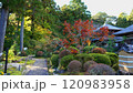 井伊家菩提寺、龍潭寺 120983958