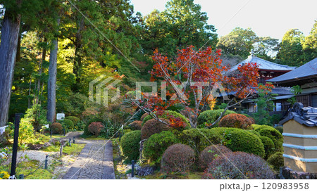 井伊家菩提寺、龍潭寺 120983958