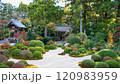 井伊家菩提寺、龍潭寺 120983959