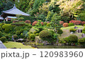 井伊家菩提寺、龍潭寺 120983960
