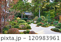 井伊家菩提寺、龍潭寺の中庭 120983961
