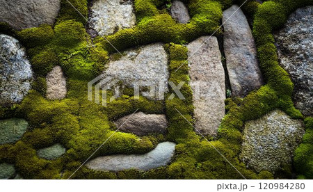 苔が生えた古い石の表面 苔が生えた古い石の表面 120984280
