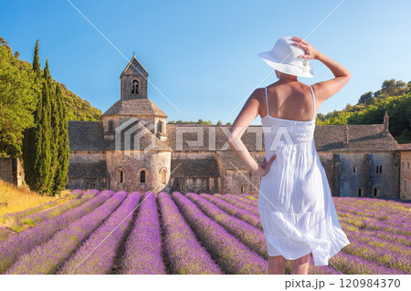 The Abbey of Senanque and the rows of lavender flowers in bloom against a woman dressed in a white dress, Gordes, Provence, France 120984370
