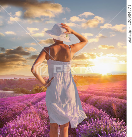 Woman holding hat in lavender fields in Provence, France 120984371