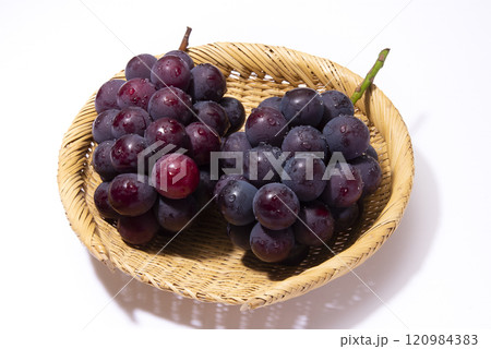 ピオーネ ピオーネ 120984383