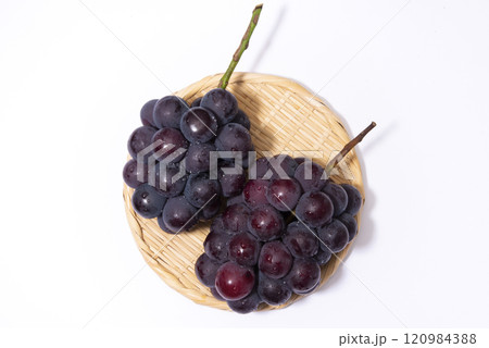 ピオーネ 120984388