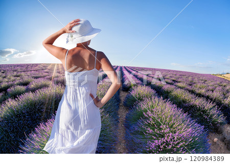 Woman holding hat in lavender fields in Provence, France Woman holding hat in lavender fields in Provence, France 120984389