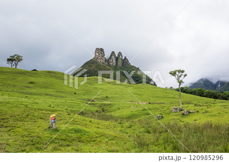 Explore the scenic beauty of Soldados Sebold, tropical destination in Santa Catarina, Brazil. Perfect for a family trip or adventure, enjoy green hills, foggy peaks, rainforest views, relaxing pasture 120985296
