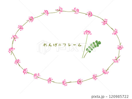 レンゲソウを首飾り風につなげた、楕円形フレームイラスト 120985722