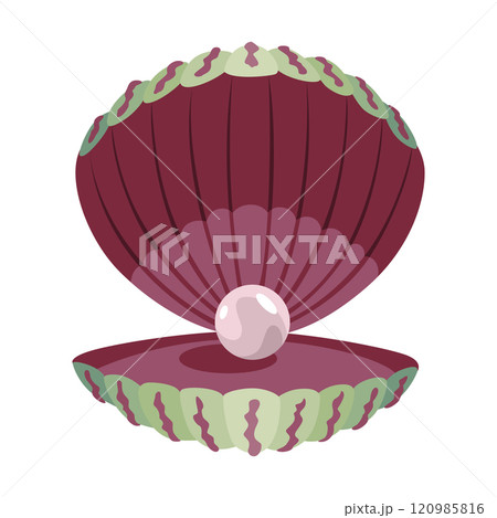 Pearl in seashell. Open seashell scallop and pearl shell icon. Beautiful pearl in clam shell in cartoon flat style. Vector illustration isolated on white background 120985816