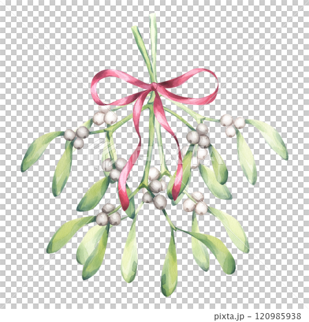 Mistletoe branch tied with red ribbon bow, white berries green leaves. Kissing place. Traditional plant for Christmas decoration. Happy New Year! Hand drawn watercolor illustration isolated background 120985938