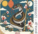 2025年　年賀状素材 120986310