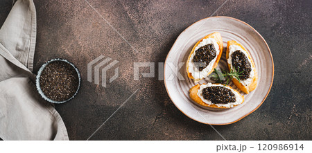 Delicious sandwiches with ricotta and black chia caviar on a plate on the table top view web banner Delicious sandwiches with ricotta and black chia caviar on a plate on the table top view web banner 120986914