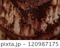 錆で塗装が剥がれた鉄板 120987175