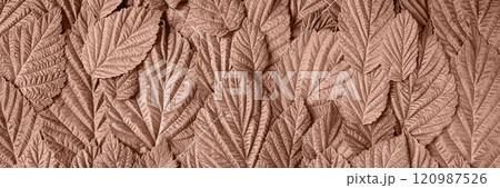 Abstract background made of raspberry leaves. Mockup for your text and sentences. Demonstrating the colors of 2025 - Mocha Mousse. 120987526