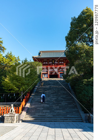 紅葉の鶴岡八幡宮 120987778