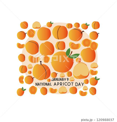 National Apricot Day 120988037