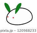 雪うさぎ　冬にまつわる手描きイラスト 120988233