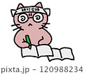 ガリ勉するネコのゆるい手描きイラスト 120988234
