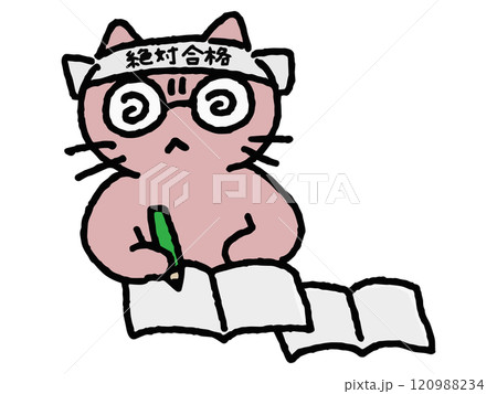 ガリ勉するネコのゆるい手描きイラスト 120988234