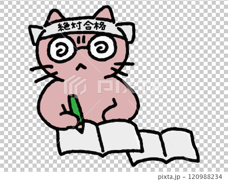 ガリ勉するネコのゆるい手描きイラスト 120988234